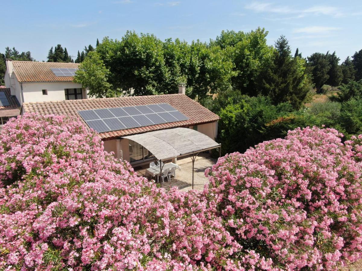 Les Gites Du Mas Canillac Châteaurenard Buitenkant foto